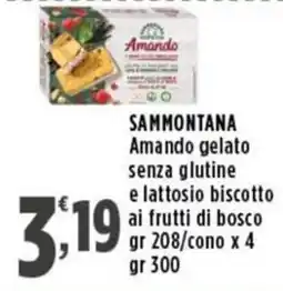 Rossotono Carrefour Sammontana Amando gelato senza glutine e lattosio biscotto ai frutti di bosco offerta