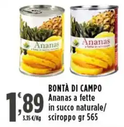 Rossotono Carrefour BONTÀ DI CAMPO Ananas offerta