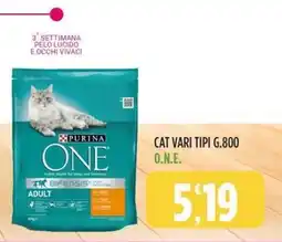 Rossotono Carrefour Purina ONE Adult offerta