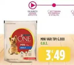 Rossotono Carrefour Purina ONE Mini <10kg Adult offerta