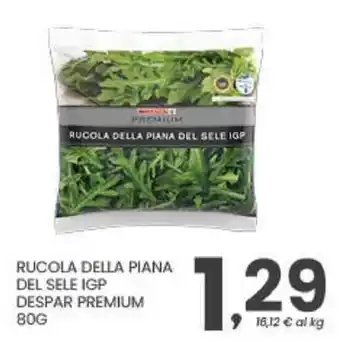 RUCOLA DELLA PIANA DEL SELE IGP DESPAR PREMIUM
