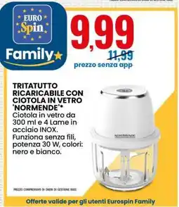 Eurospin TRITATUTTO RICARICABILE CON CIOTOLA IN VETRO 'NORMENDE' offerta