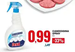 Eurospin CANDEGGINA SPRAY offerta