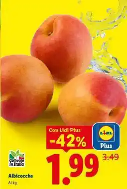 Lidl Albicocche offerta