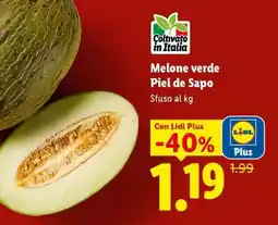 Lidl Melone verde Piel de Sapo offerta