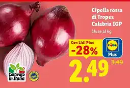 Lidl Cipolla Rossa di Tropea Calabria IGP offerta