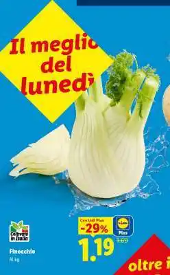 Lidl Finocchio offerta