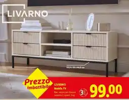 Lidl LIVARNO Mobile TV offerta