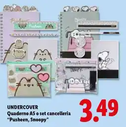 Lidl UNDERCOVER offerta