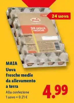 Lidl MAIA Uova fresche medie da allevamento a terra offerta