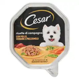 Spazio Conad ALIMENTO PER CANI CESAR offerta