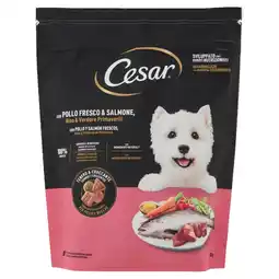 Spazio Conad CROCCANTINI CESAR offerta