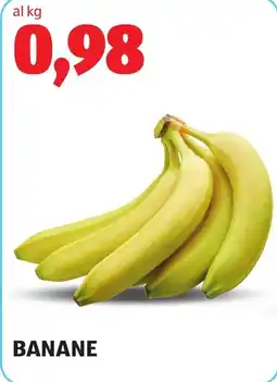 ALDI BANANE offerta