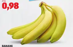 ALDI BANANE offerta