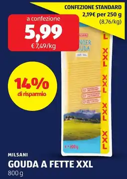 ALDI MILSANI GOUDA A FETTE XXL offerta
