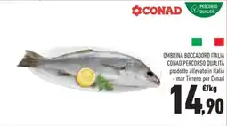 Conad OMBRINA BOCCADORO ITALIA offerta