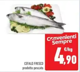 Conad CEFALO FRESCO prodotto pescato offerta