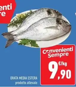 Conad Orata media estera offerta