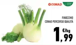 Conad City Finocchio CONAD Percorso Qualità offerta