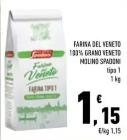 Conad City Farina del Veneto offerta