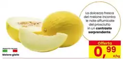 Interspar Melone giallo offerta