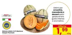 Interspar Melone retato I.G.P. Mantova Despar Premium offerta