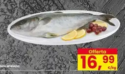 Interspar Salmone allevata offerta