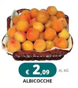 Altasfera ALBICOCCHE offerta