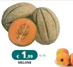 Altasfera MELONE offerta
