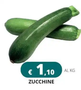 Altasfera ZUCCHINE offerta