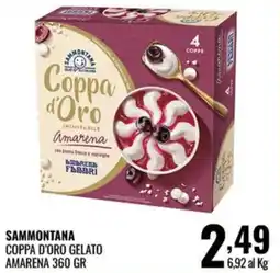 Gecop Sammontana Coppa d'Oro Gelato Amarena offerta