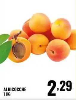 Gecop ALBICOCCHE offerta