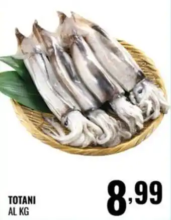 Gecop TOTANI offerta