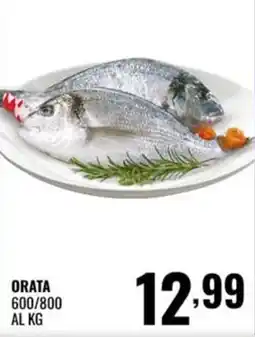 Gecop ORATA offerta