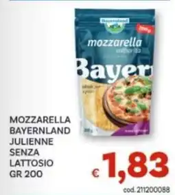 Vivo Supermercati Mozzarella Bayernland Julianne Senza Lattosio offerta