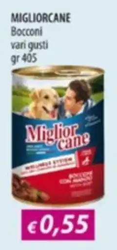 Acqua & Sapone Miglior cane Bocconi offerta