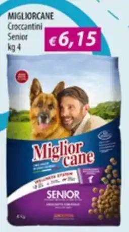 Acqua & Sapone Miglior cane Croccantini Senior offerta