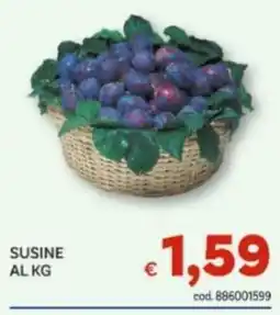 Vivo Supermercati SUSINE offerta