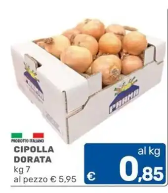 Cipolla Dorata
