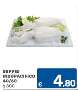 C+C Cash and Carry SEPPIE INDOPACIFICO offerta
