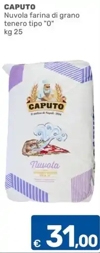 C+C Cash and Carry CAPUTO Nuvola farina di grano tenero tipo "0" offerta