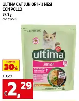 C+C Cash and Carry ultima cat junior offerta