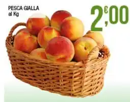Sidis PESCA GIALLA offerta
