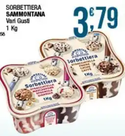 Sidis Sorbettiera Sammontana offerta