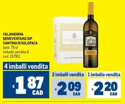 Metro Falanghina Beneventano IGP Cantina di Solopaca offerta