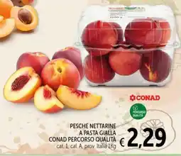 Spazio Conad PESCHE NETTARINE A PASTA GIALLA CONAD PERCORSO QUALITÀ offerta
