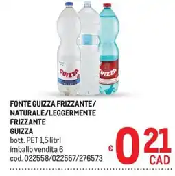 Metro Fonte Guizza Frizzante offerta