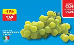 ALDI UVA BIANCA SENZA SEMI 500 G offerta