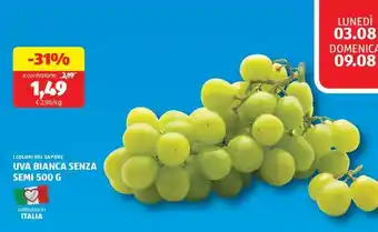 ALDI UVA BIANCA SENZA SEMI 500 G offerta
