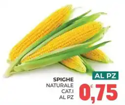 Eté SPIGHE NATURALE offerta